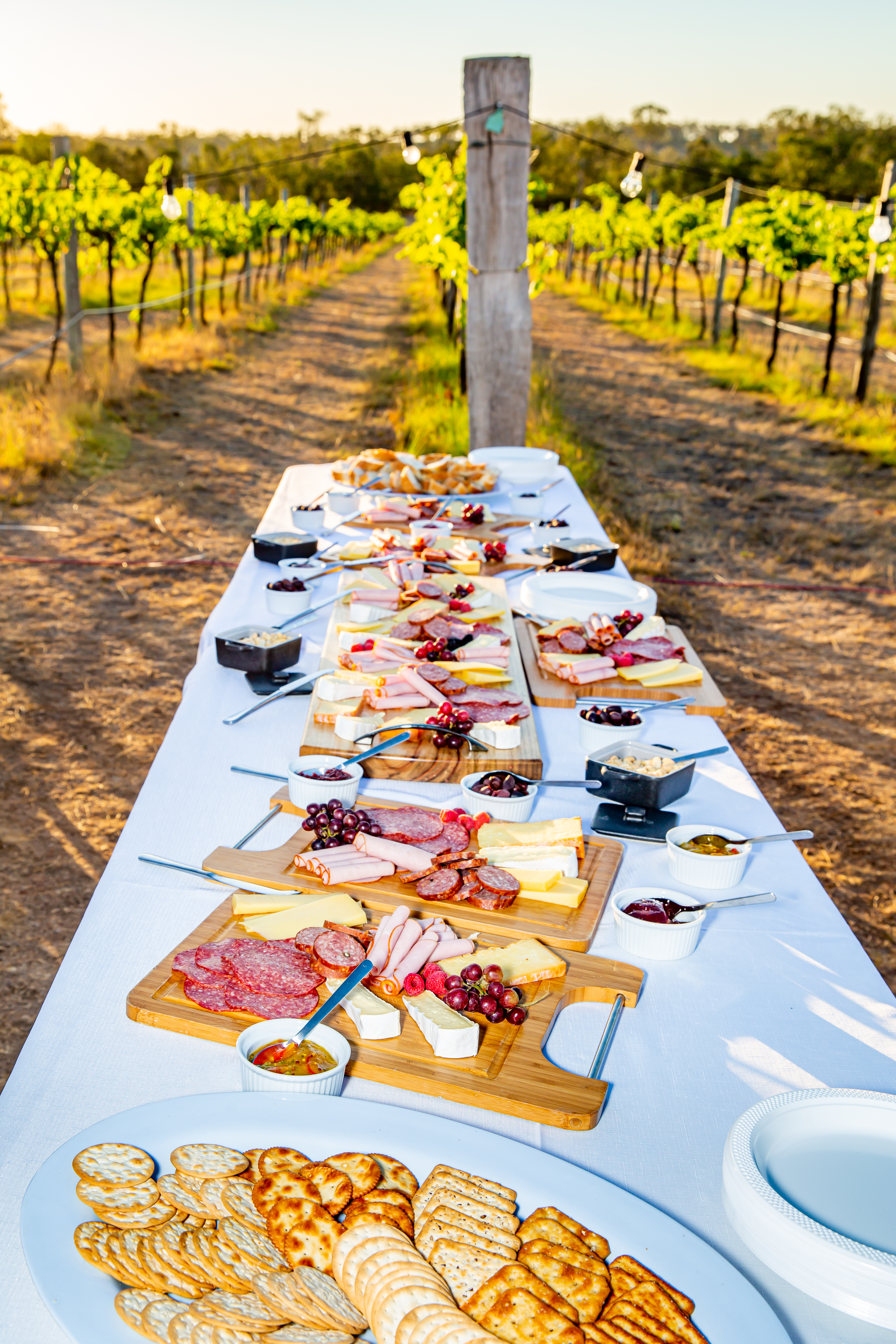 Table with food at the vineyard 